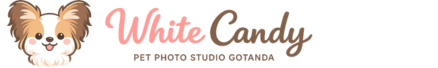 五反田にあるペット写真スタジオ｜ホワイトキャンディ